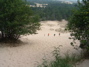DSCF0027