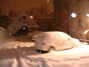 DSCF0007