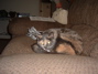 DSCF0061