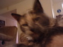 DSCF0062
