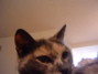 DSCF0063