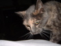 DSCF0065