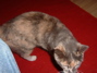 DSCF0068