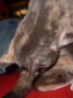 DSCF0070