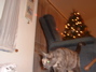 DSCF0071