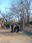 DSCF0020.JPG