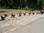 DSCF0027.JPG