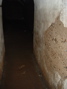 DSCF0053.JPG