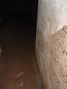 DSCF0054.JPG
