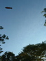 DSCF0083.JPG