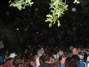 DSCF0084.JPG