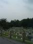 DSCF0097.JPG