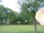 DSCF0147.JPG