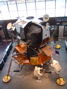 DSCF0166.JPG
