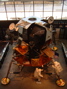 DSCF0167.JPG
