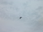 DSCF0148.JPG