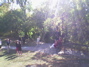 More Picture-taking