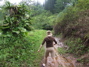 Up the trail!