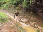Back down the trail