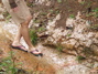 The mud