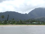 Beach from the pier