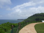 More from the lighthouse