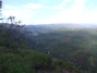More Waimea