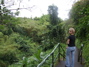 On the trail to Akaka