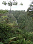 Kahuna Falls