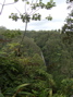 Kahuna Falls, 2