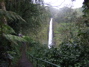 Akaka Falls