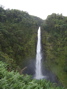 Akaka Falls, 2