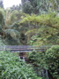Bridge over a stream