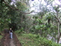 Down the trail