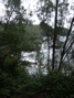 Cove, from the trail