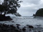 Water at the cove