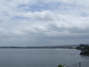 Hilo's harbor