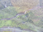 Waterfalls from the air