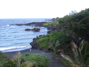 Black sand beach