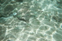 Underwater 1