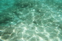 Underwater 2