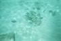 Underwater 3