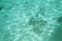 Underwater 4