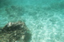 Underwater 8