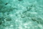 Underwater 9