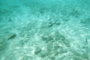 Underwater 10