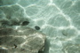 Underwater 11