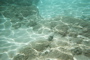 Underwater 12